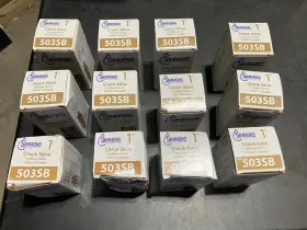503-SB SIMMONS Check Valve