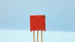 1 Pc- Potentiometer, Jrjr24fx503p, Bourns, Gold Leads, 3-pin. Fixed Price $14.00.