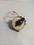 Ohmite 0455 Potentiometer. Chicago Usa.. Fixed Price $40.00.