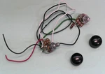 Ibanez Wiring 1 Tone & Volume Pots. Knobs Off Rga42fm, 3v504sbs01-kl. Fixed Price $12.99.