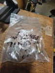 New Peavey 71190338 R-vpv-100ka 100k Audio Spider Potentiometer For Amplifiers. Fixed Price $7.50.