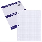 Roaring Spring Loose Leaf Paper, Notebook Filler Graph 4x4 Ruled, White. Fixed Price $11.99.