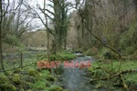 Photo Stream At The Bottom Of Flag Dale This Is Near Wormhill Springs. It Ch. Fixed Price $2.09.